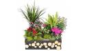 L'Agitateur Floral | image de la Composition de plantes de deuil Le Jardin d'Olympe