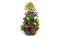 L'Agitateur Floral | image de la coupe de plantes symphonie