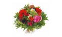L'Agitateur Floral | Image de couverture bouquet de fleurs Pénélope