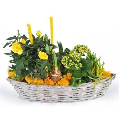 L'Agitateur Floral | image de la composition de plante dans les tons jaunes Etamine la fleuriste