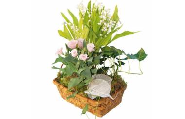 L'Agitateur Floral | image de la Composition de plantes racines Chanceux