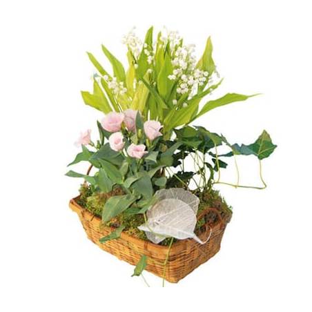 L'Agitateur Floral | image de la Composition de plantes racines Chanceux