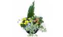 L'Agitateur Floral | image de l'assemblage de plantes le jardin du temps