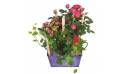 L'Agitateur Floral | image de la coupe de plante le jardin d'italie