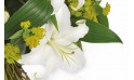 L'Agitateur Floral | zoom sur un lys blanc de la création florale