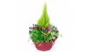 Agitateur Floral | coupe de plantes "Tendre Pensée"
