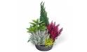L'Agitateur Floral | image de la coupe de plantes vertes d'extérieur