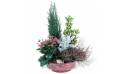L'Agitateur Floral | Coupe de plantes vertes & fleuries Adieu Eternel