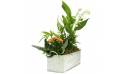 L'Agitateur Floral | image de la Composition 1er Mai Ronde de Muguet