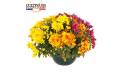 L'Agitateur Floral | Coupe de chrysanthème aux fleurs jaune orange et rose