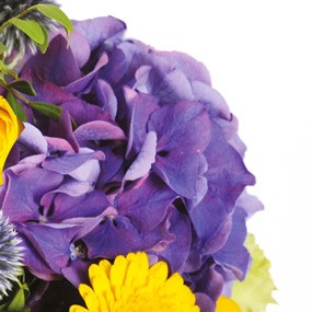 mozaique : un hortensia mauve