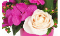 vue sur une orchidée et une rose blanche de la création florale
