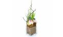 L'Agitateur Floral | Composition de Muguet & fleurs "Pink Mai"