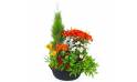 Image de la Grande coupe de plantes vertes & fleuries "Solis" | L'Agitateur Floral