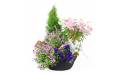 Image de la Grande coupe de plantes roses, mauves et bleues "Rosea Lilium" | L'Agitateur Floral