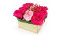 Image Composition de roses "Saint Louis" | L'Agitateur Floral