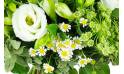 Image zoom Bouquet champêtre tons blancs "Ajaccio" | L'Agitateur Floral