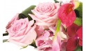 image des roses roses de la composition florale