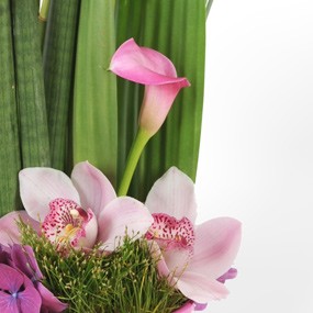 mozaique : vue sur un calla rose
