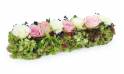 image du Chemin de roses roses & blanches "Cérès" | L'Agitateur Floral