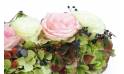 image du Chemin de roses roses & blanches "Cérès" | L'Agitateur Floral