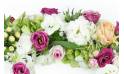 Image de la Petite couronne de fleurs piquées "Diane" | L'Agitateur Floral