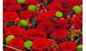 image du Coussin de roses rouges "Éros" | L'Agitateur Floral