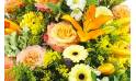 image du Coussin en hauteur jaune & orange "Apollon" | L'Agitateur Floral