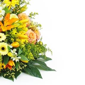 image du Coussin en hauteur jaune & orange "Apollon" | L'Agitateur Floral