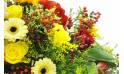 image de la Raquette fleurs colorées "Thucydide" | L'Agitateur Floral