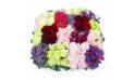 Image Coussin carré damier de fleurs piquées "Parthénon" | L'Agitateur Floral