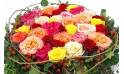 Zoom image du Coussin de deuil de fleurs colorées "Aristote" | L'Agitateur Floral