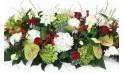 Zoom image du Dessus de cercueil rouge & blanc "Odysseus" | L'Agitateur Floral