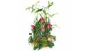 Image principale Assemblage de fleur rose & vert "Salvador" | L'Agitateur Floral