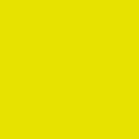 Zoom couleur : Bouquet rond jaune & blanc "Prague"| L'Agitateur Floral