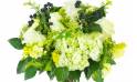 Zoom image principale : Bouquet rond champêtre "Sofia"| L'Agitateur Floral
