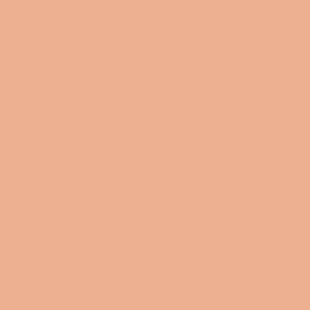Zoom couleur du : Bouquet rond de fleur orangé "Cologne" | L'Agitateur Floral