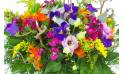 Zoom image principale : Bouquet champêtre pétillant "Naples"| L'Agitateur Floral