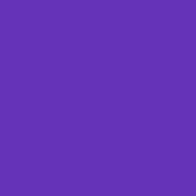 Zoom couleur : Bouquet rond orange & violet "Marseille"| L'Agitateur Floral