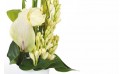 image du bas de la composition florale Sissi