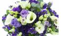 Zoom image principale : Bouquet rond blanc & violet "Ostrava"| L'Agitateur Floral