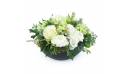 Image Composition de fleur blanche "Fontana"| L'Agitateur Floral