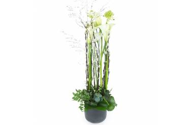 Image Composition blanche en hauteur "Lima"| L'Agitateur Floral