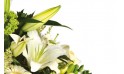 zoom sur des lys de la composition florale