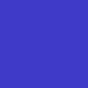 Zoom 2 de la Composition de plantes rose & bleue "Plantae" | L'Agitateur Floral