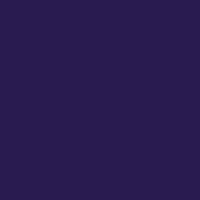 Zoom 2 de la Composition de plantes mauve & bleue "Naturae" | L'Agitateur Floral