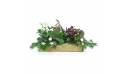 Image de Assemblage de plantes Noël " Sucre d'Orge"|L'Agitateur Floral
