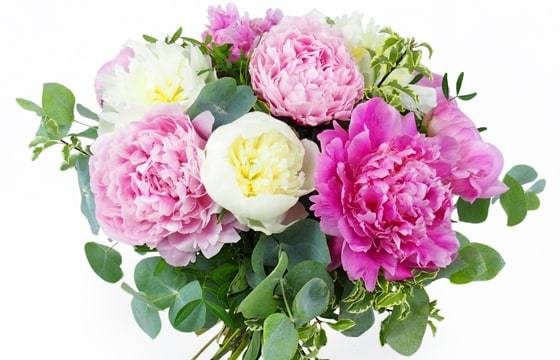 Zoom image principale du bouquet de pivoines "Velours de Pivoines" | L'Agitateur Floral