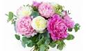 Zoom image principale du bouquet de pivoines "Velours de Pivoines" | L'Agitateur Floral