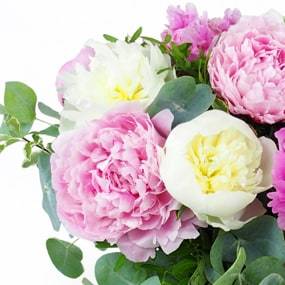 Image zoom gauche du bouquet de pivoines "Velours de Pivoines" | L'Agitateur Floral